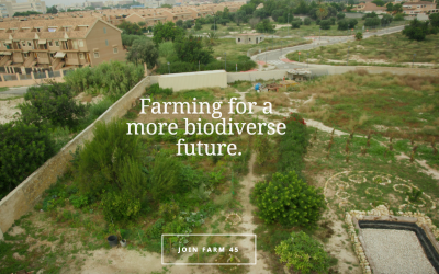 ‘Farm 45’, nuevo reto de Cookpad para la sostenibilidad y biodiversidad de la agricultura
