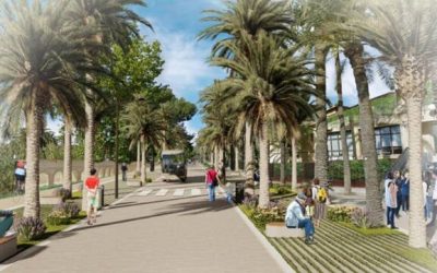 Hacer del Palmeral de Orihuela, su entorno y el paisaje urbano un emblema de la ciudad – Fundación Metrópoli