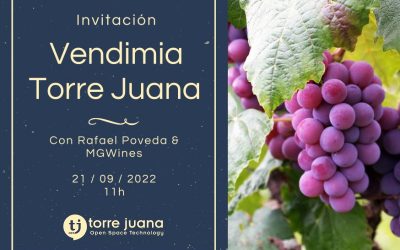 II Vendimia Torre Juana 2022. Homenaje al Fondillón & Networking