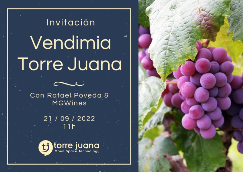 II Vendimia Torre Juana 2022. Homenaje al Fondillón & Networking