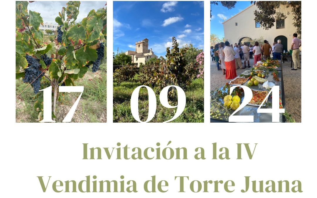 Rafa, el Chatbot del Fondillón, te invita a la 🍇IV Vendimia de Torre Juana🍷